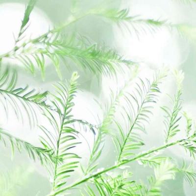 战士大作战九游官方下载